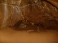/album/akce-17-5-2014-/s6300508-jpg/